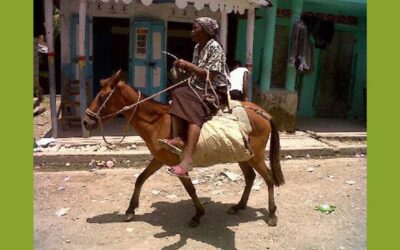 A Haitian Journey